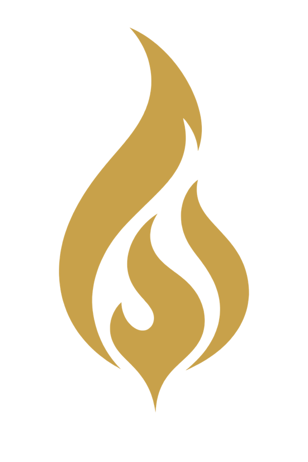 Ignite program emblem